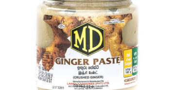 MD Ginger Paste 225g
